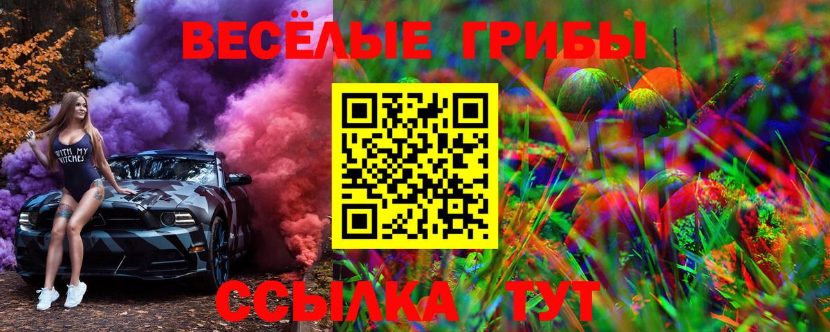 Клинцы  Псилоцибиновые грибы Cubensis  Вход с VPN  Псилоцибиновые грибы GOLDEN TEACHER 